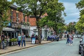 Waggle dog walking in Alderley Edge, Cheshire.