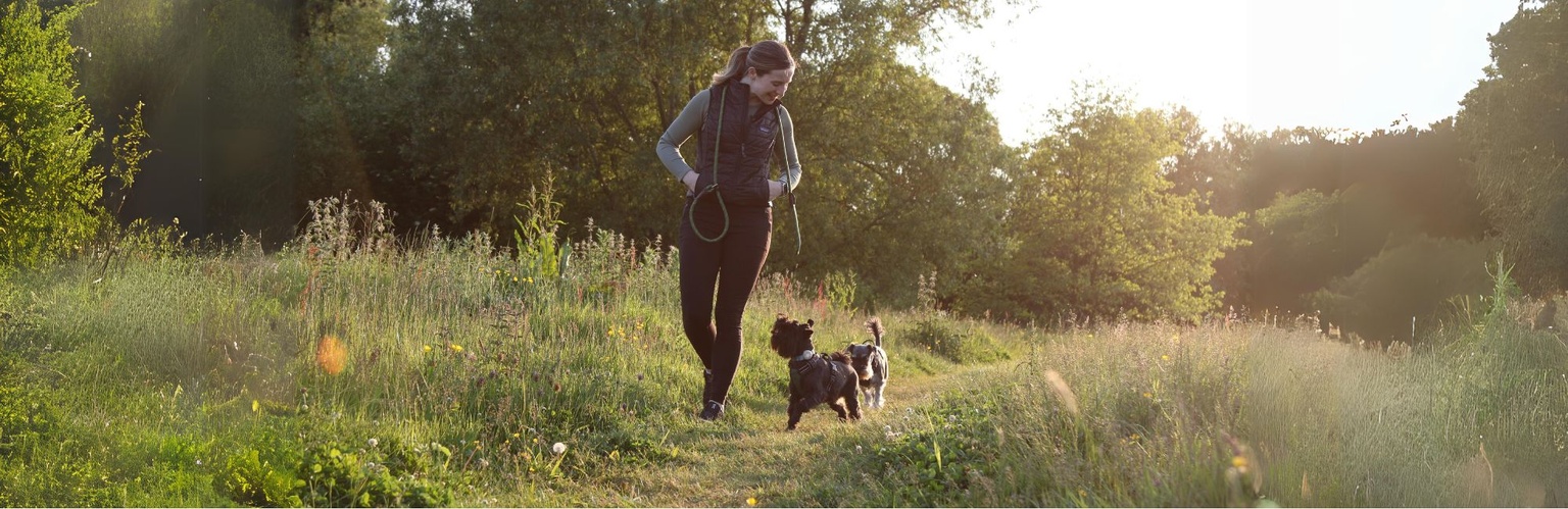 Waggle - Dog Walking Made Easy. Home page image with 2 dogs with one of our walkers.